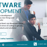 Software Development Consultation Fees